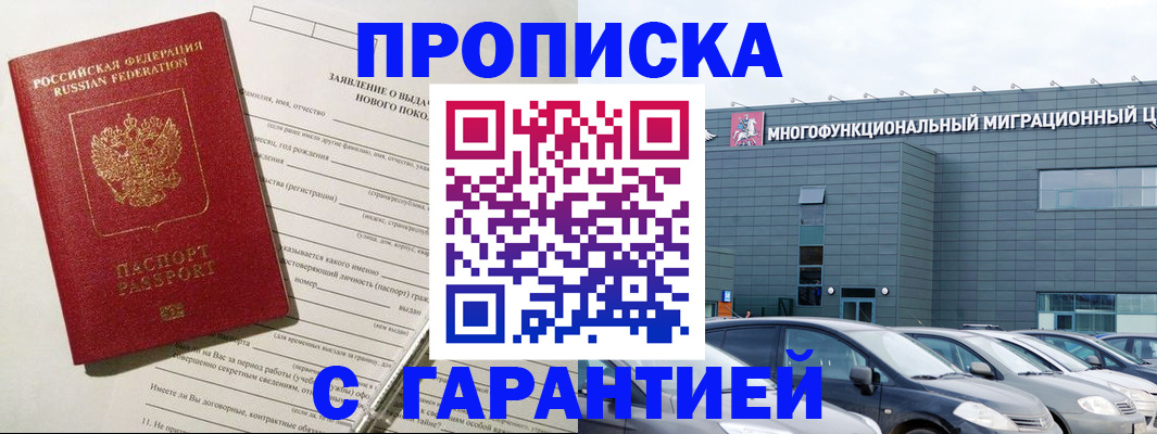 прописка поиск в Сольцах